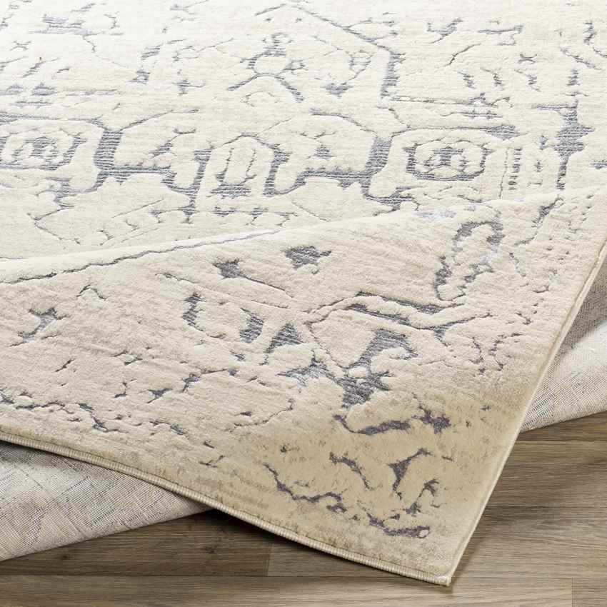 Foxwolde Traditional Taupe Area Rug