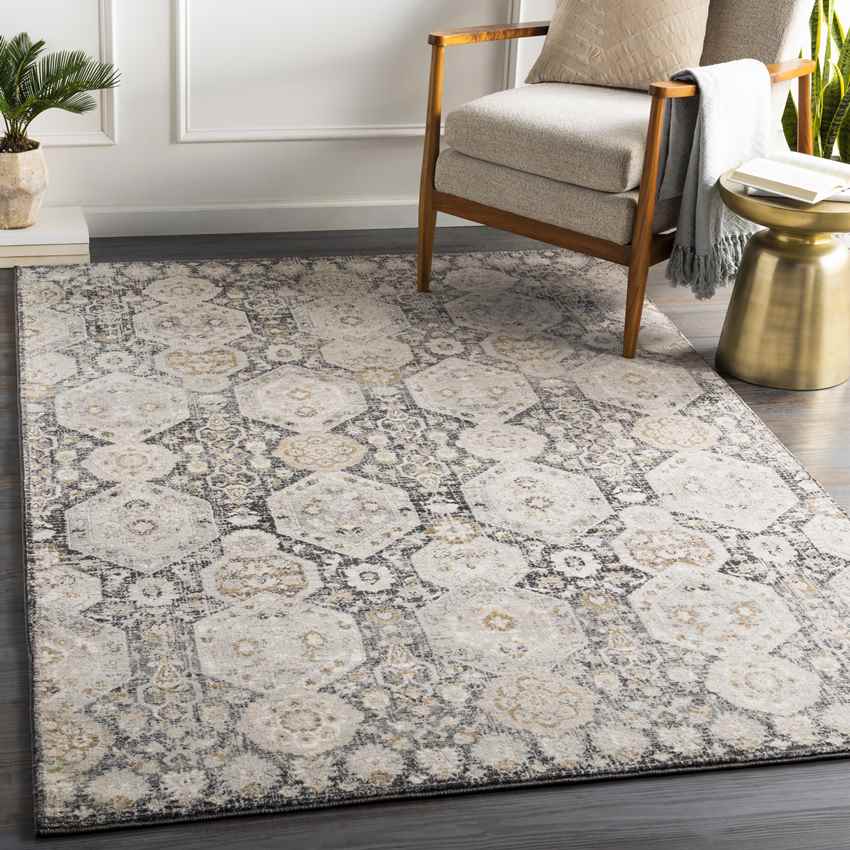 Geelbroek Traditional Black Area Rug