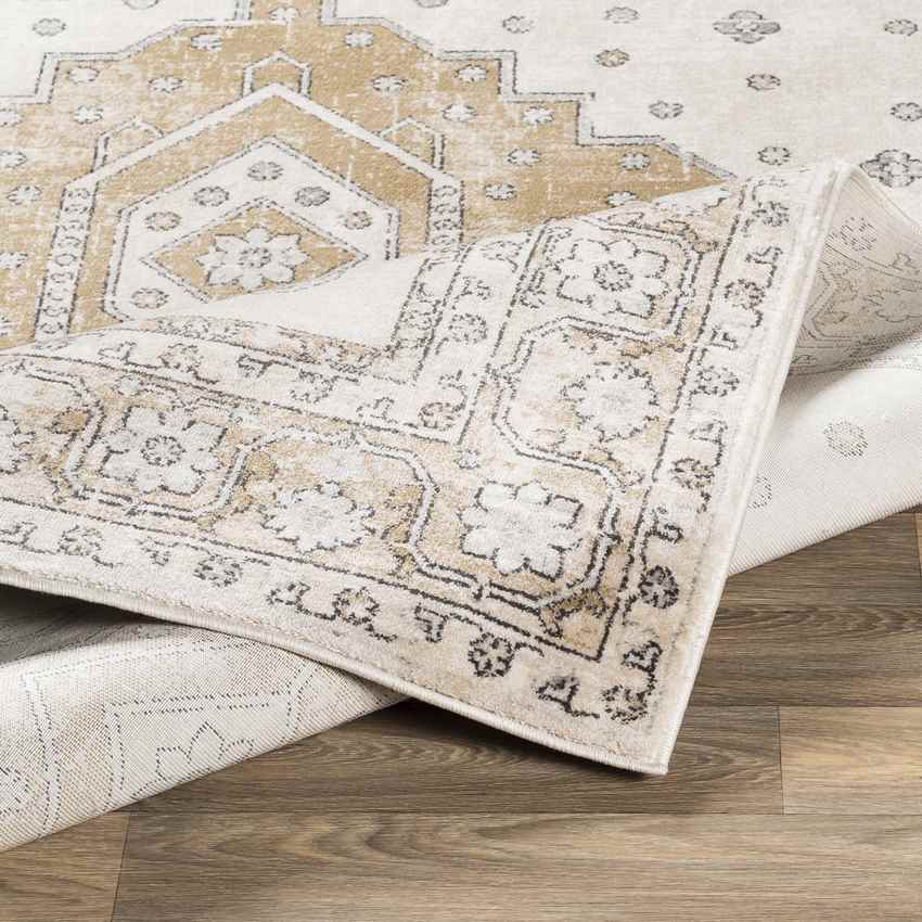 Teramo Traditional Tan Area Rug