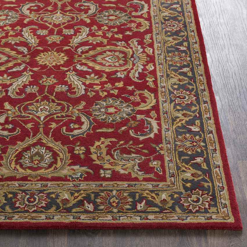 Palaiseau Traditional Bright Red Area Rug