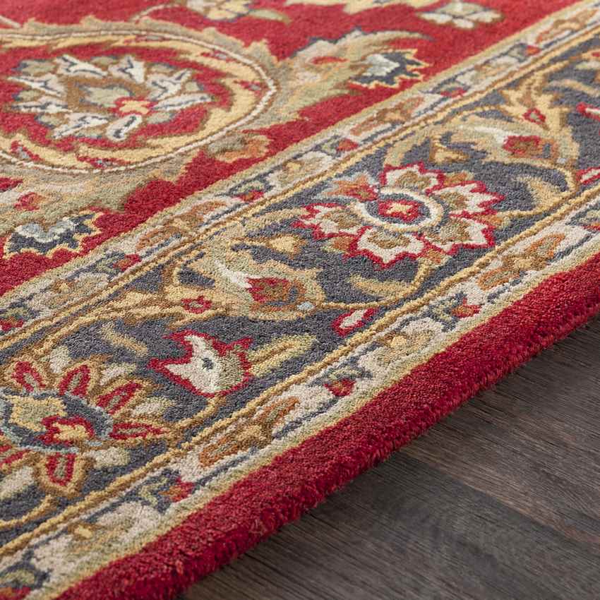 Palaiseau Traditional Bright Red Area Rug
