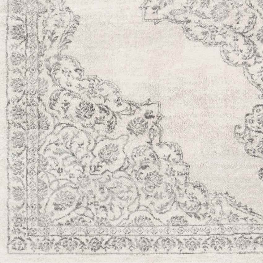 Pieperij Traditional Medium Gray Area Rug