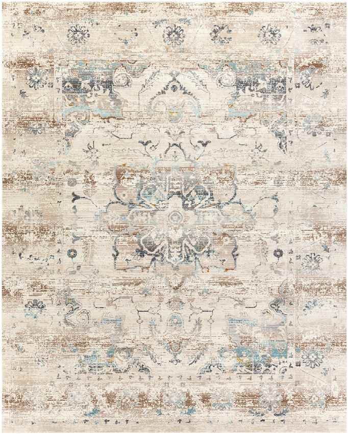 Streek Traditional Taupe Area Rug
