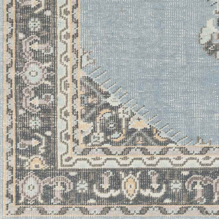 Torenveen Traditional Aqua Area Rug