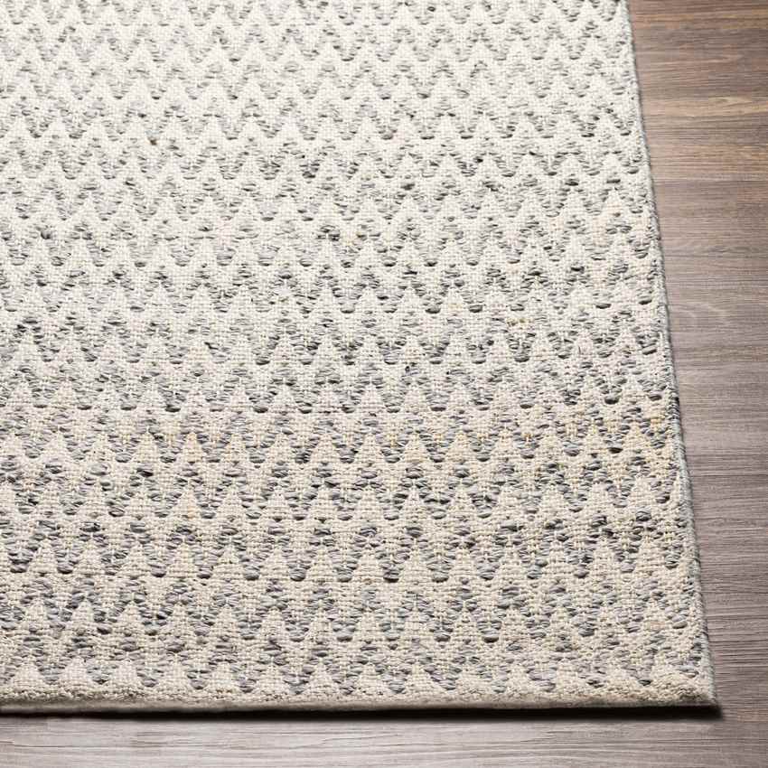 Velsen Global Medium Gray Area Rug