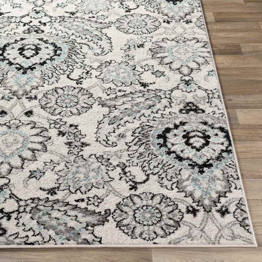 Laarbeek Traditional Medium Gray Area Rug