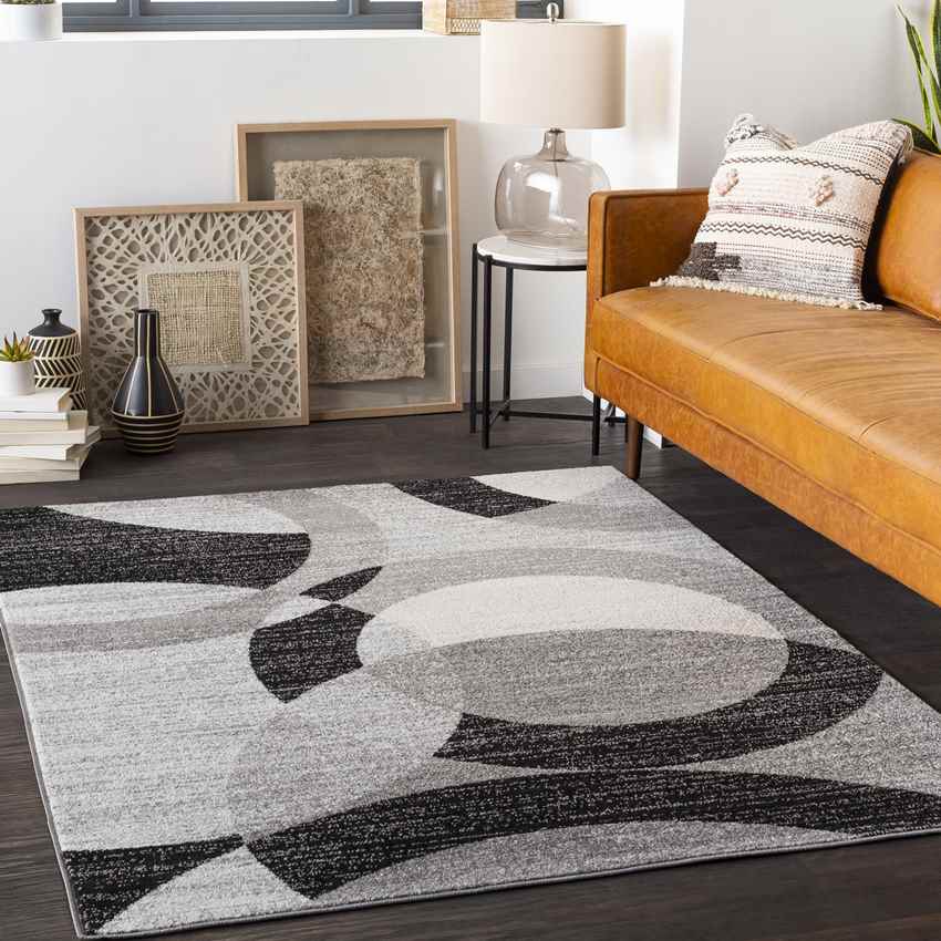 Aalburg Modern Medium Gray Area Rug