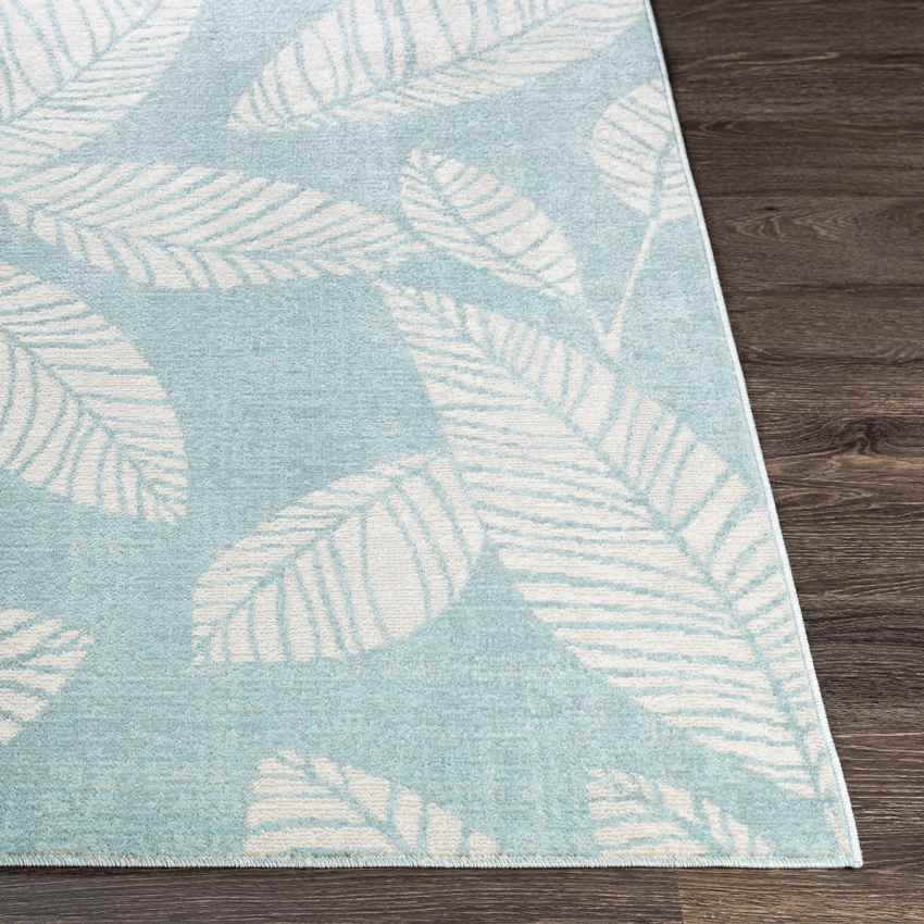 Bargebek Coastal Aqua Area Rug