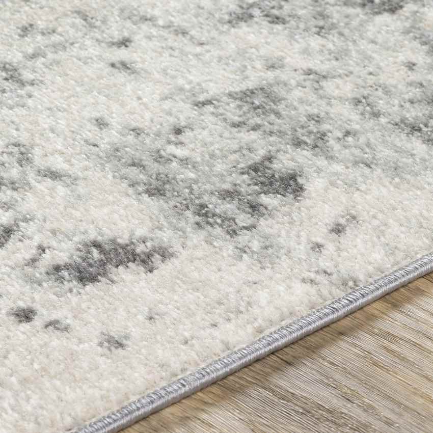 Brantgum Modern Medium Gray Area Rug