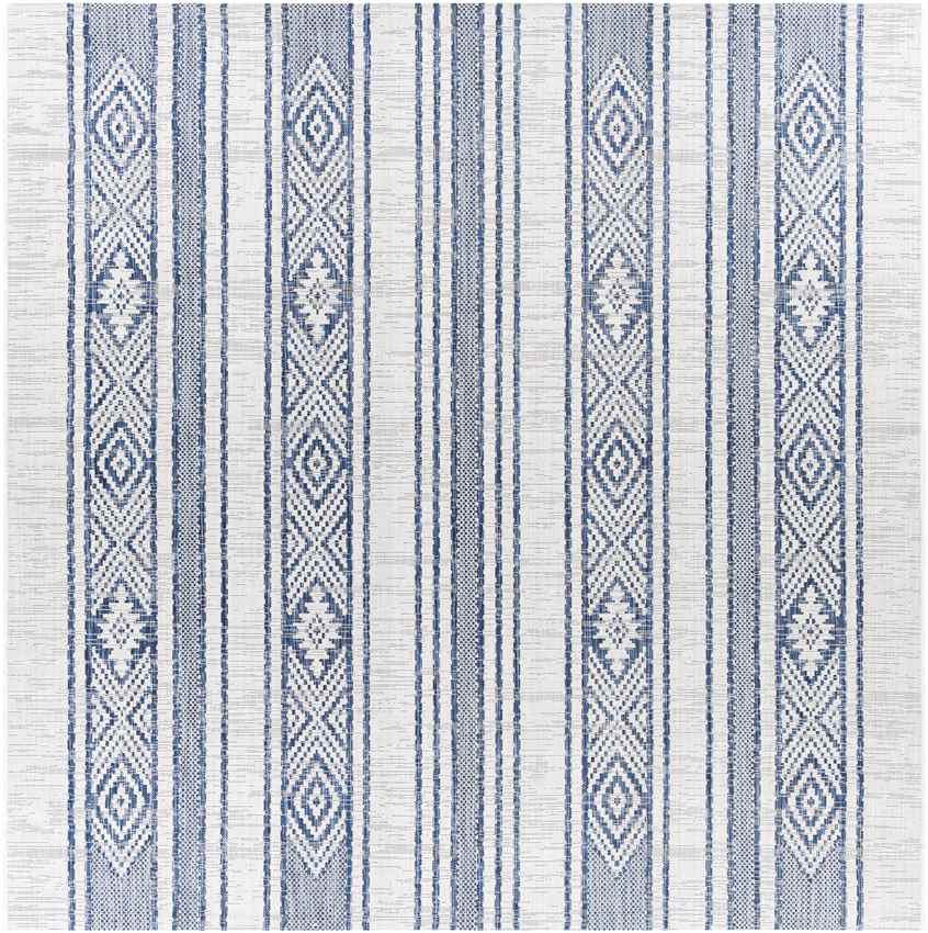 Aerdt Global Pale Blue Area Rug