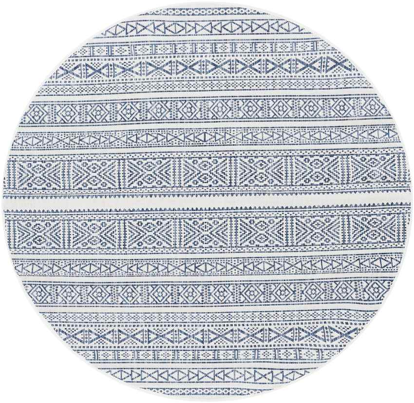 Zoelen Global Navy Area Rug