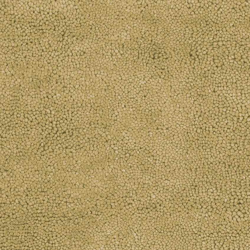 Geron Modern Tan Area Rug
