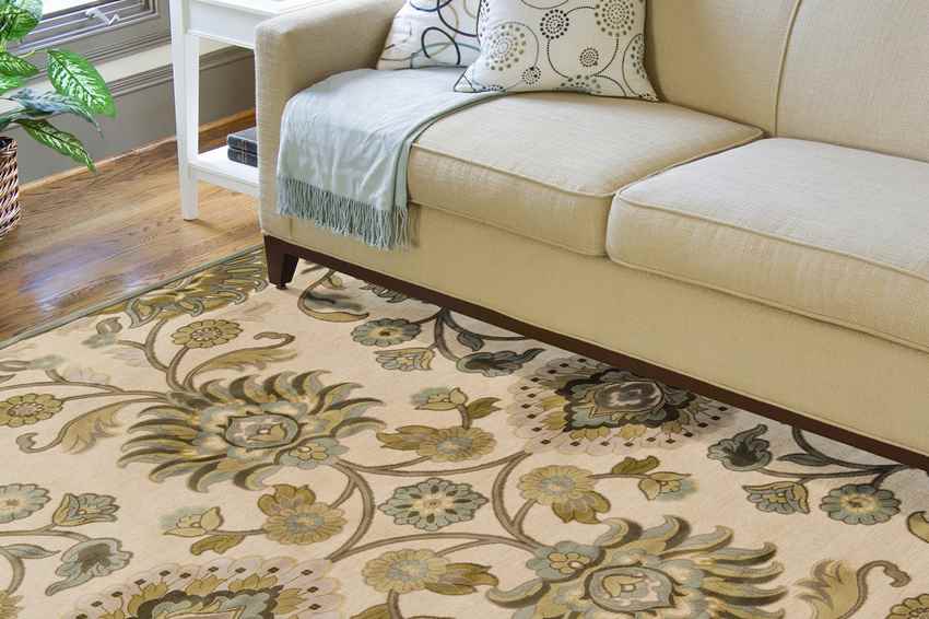 Oldenzijl Traditional Beige Area Rug