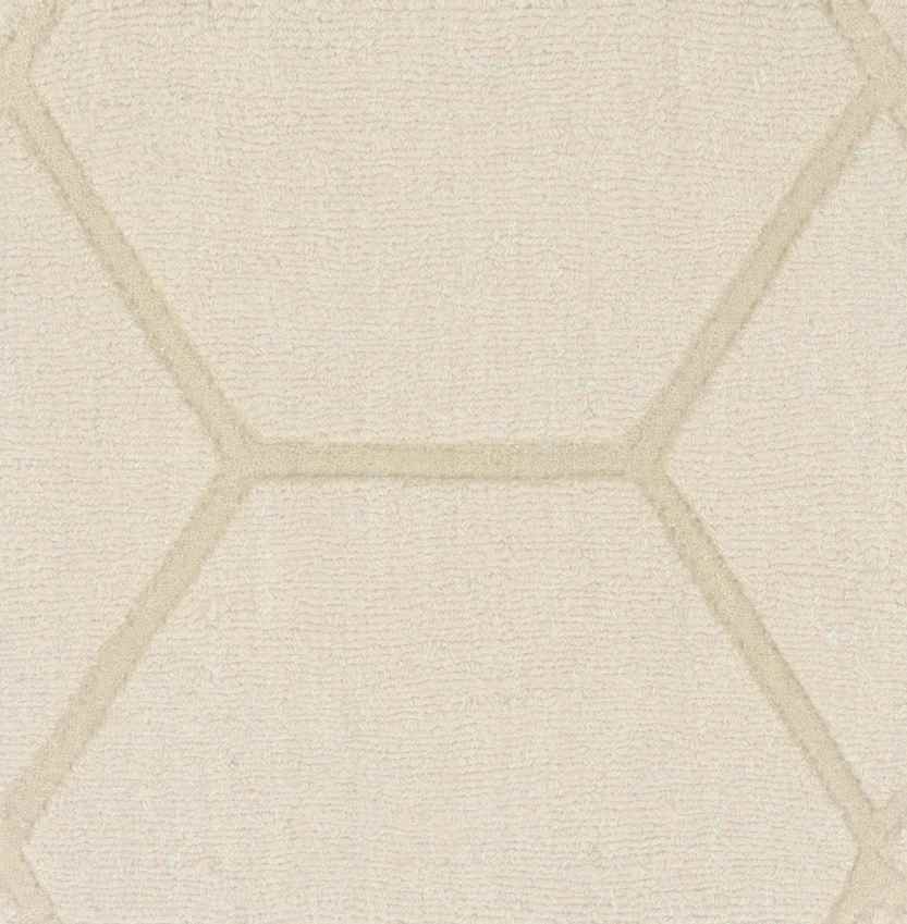Onnen Modern Ivory Area Rug