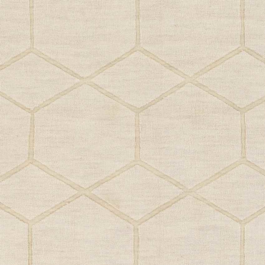 Onnen Modern Ivory Area Rug