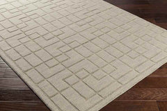 Onstwedde Modern Medium Gray Area Rug
