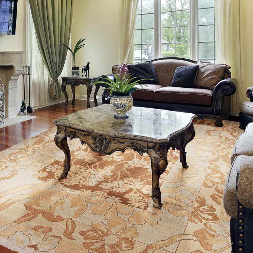 Niehove Traditional Beige Area Rug