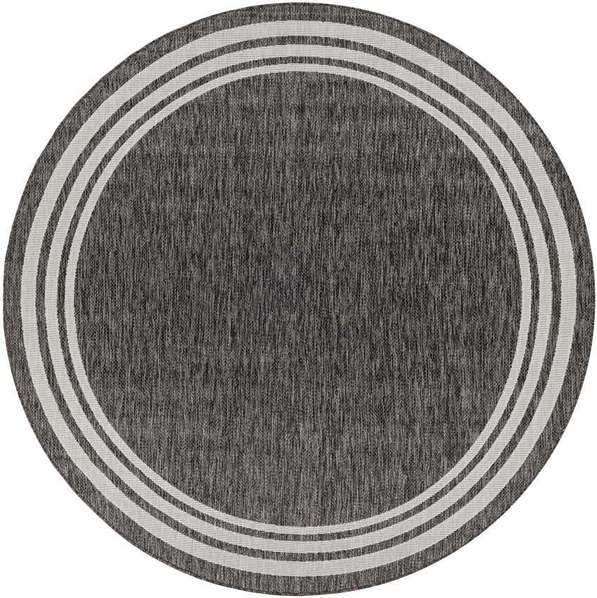 Wezep Traditional Dark Gray Area Rug