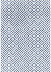 Aekinga Traditional Blue Area Rug