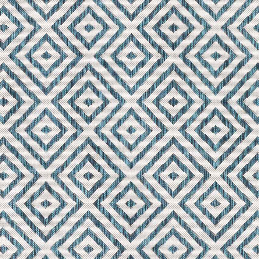 Aekinga Traditional White Area Rug