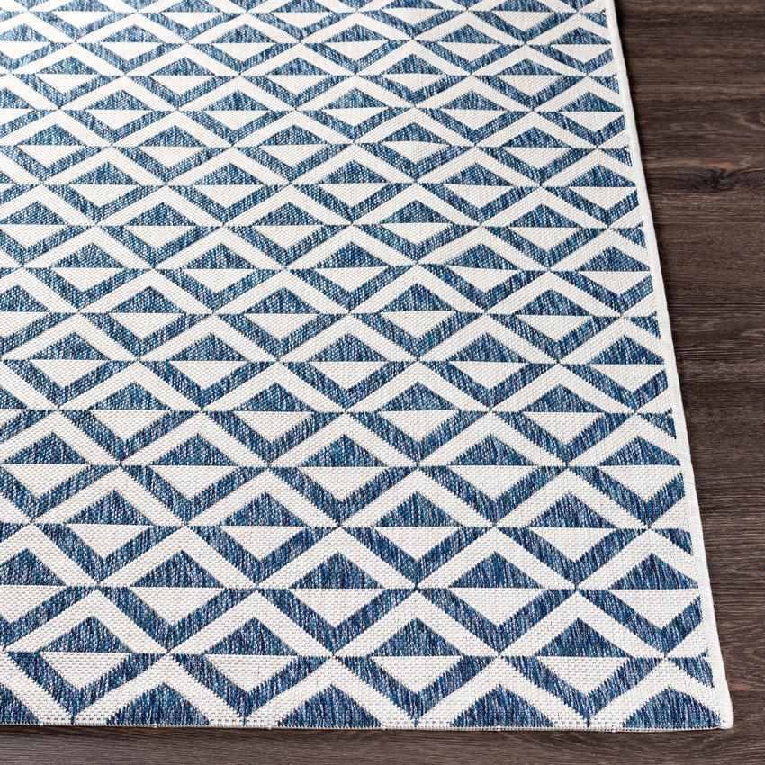 Akkrum Modern Blue Area Rug
