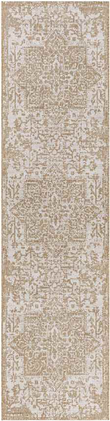 Appelscha Traditional Ivory Area Rug