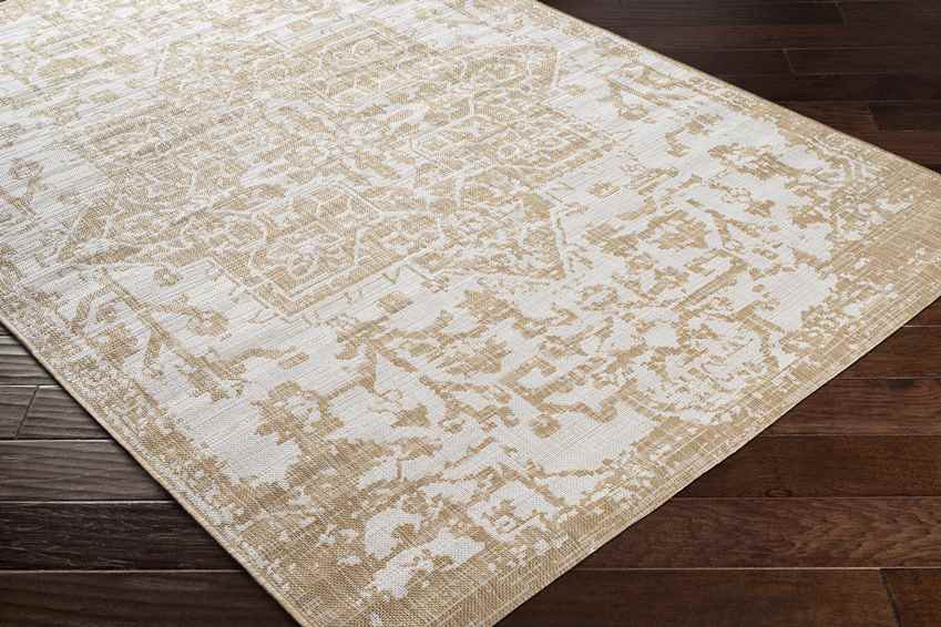 Appelscha Traditional Ivory Area Rug