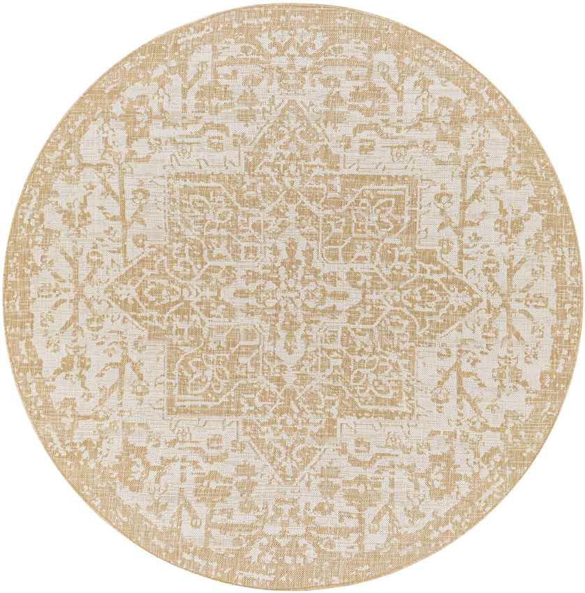 Appelscha Traditional Ivory Area Rug