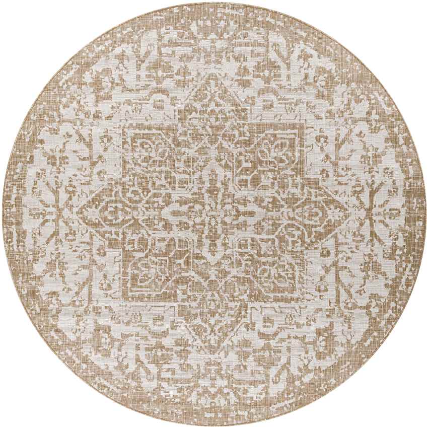 Appelscha Traditional Ivory Area Rug