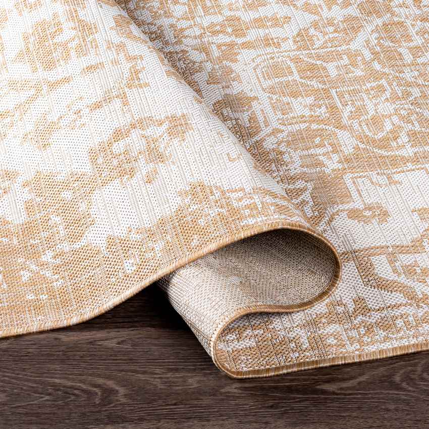 Appelscha Traditional Ivory Area Rug