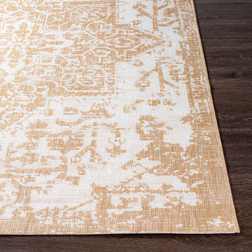 Appelscha Traditional Ivory Area Rug