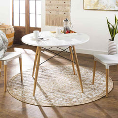 Appelscha Traditional Ivory Area Rug