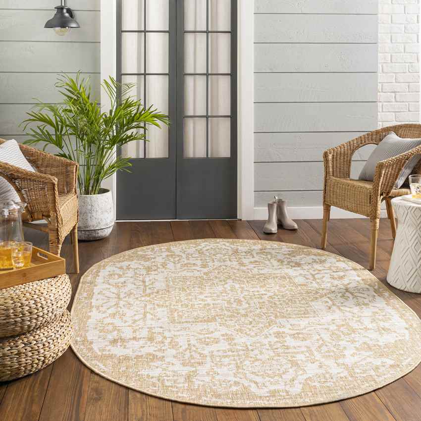Appelscha Traditional Ivory Area Rug