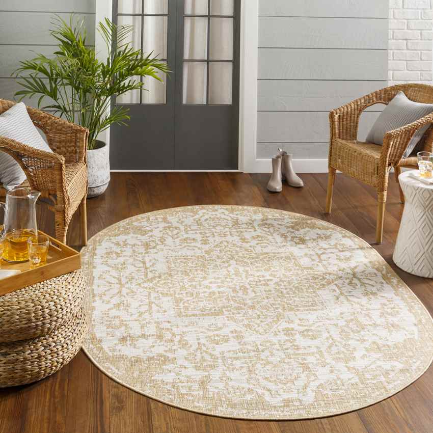 Appelscha Traditional Ivory Area Rug