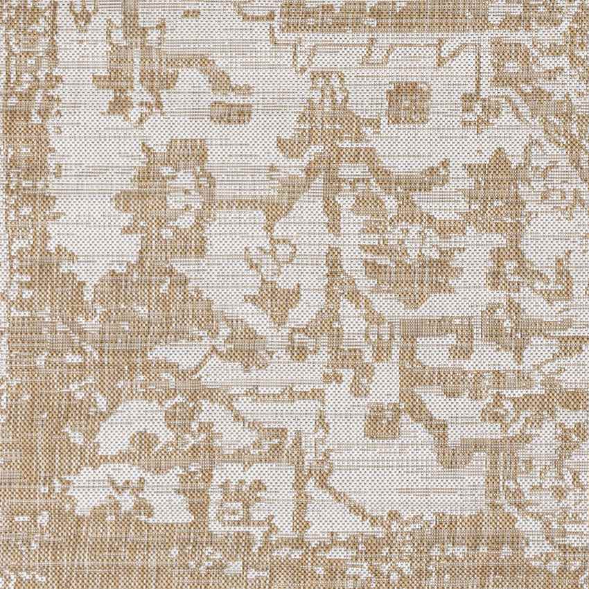 Appelscha Traditional Ivory Area Rug