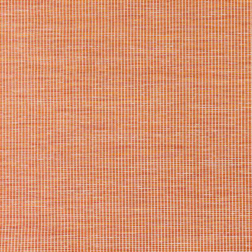 Tonsel Traditional Orange Area Rug