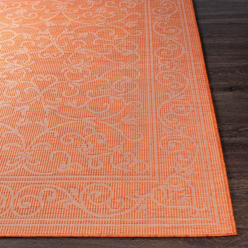 Castricum Traditional Orange Area Rug