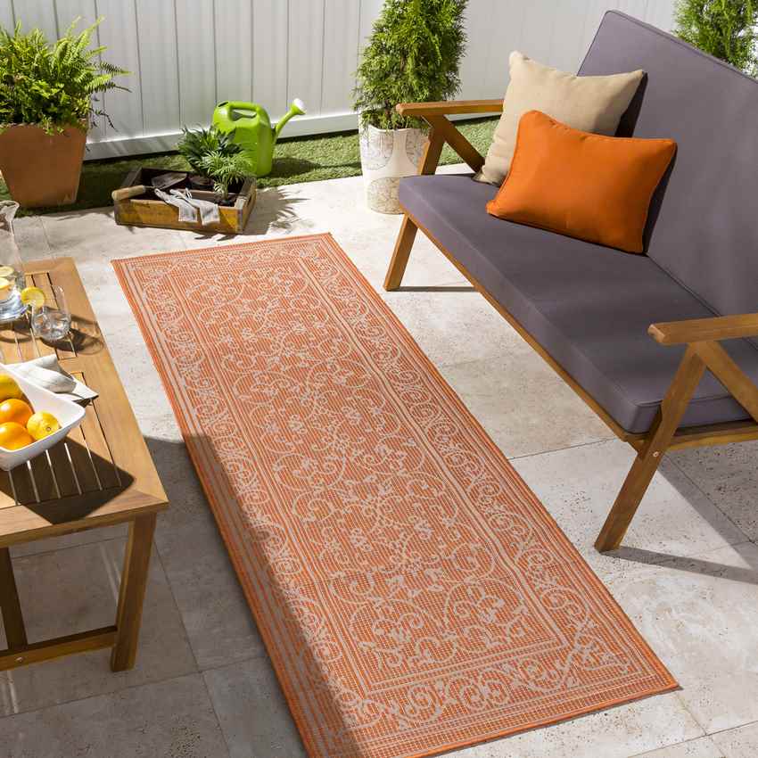 Castricum Traditional Orange Area Rug