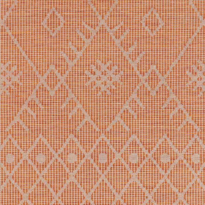 Catrijp Global Orange Area Rug