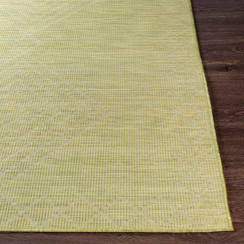 Craailo Global Light Green Area Rug