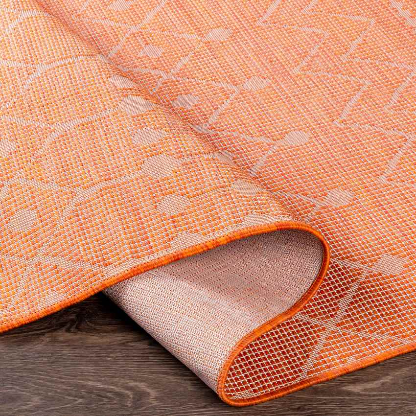 Cruquius Global Bright Orange Area Rug