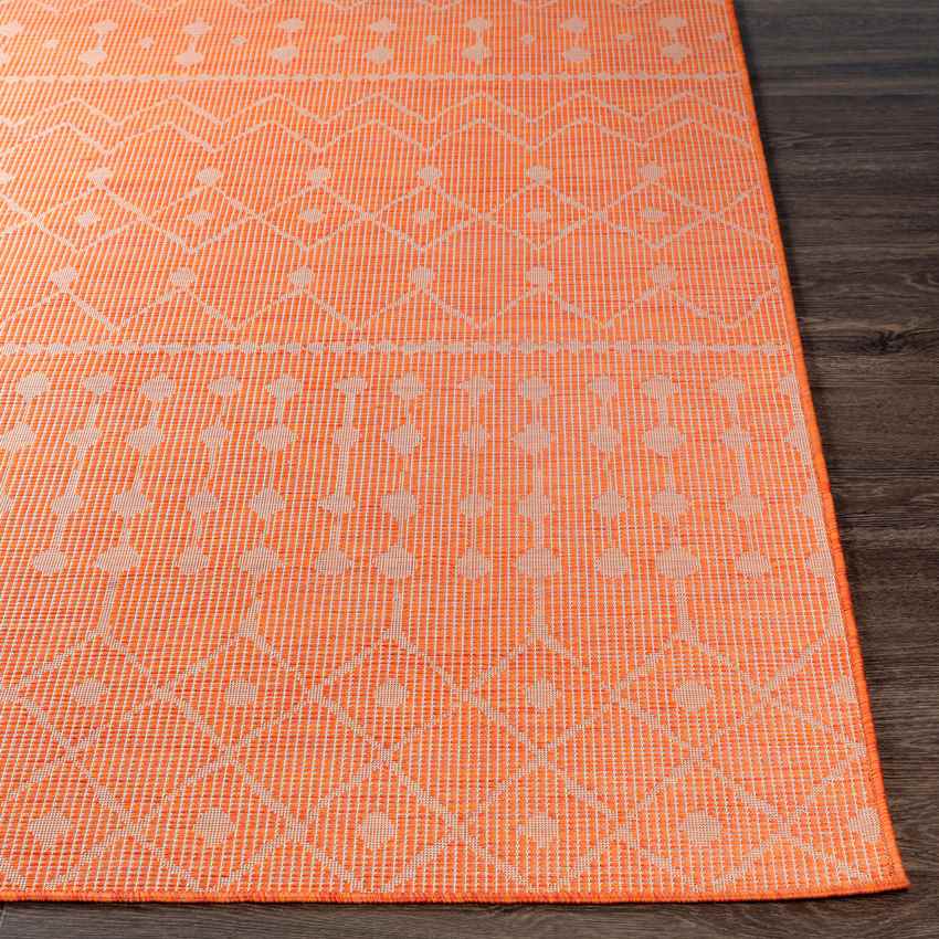 Cruquius Global Bright Orange Area Rug