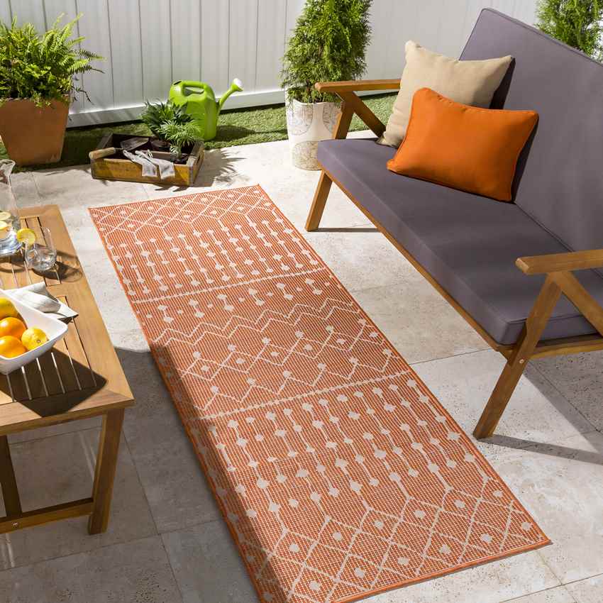 Cruquius Global Bright Orange Area Rug