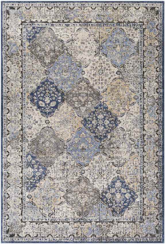 Loenen Traditional Light Gray Area Rug