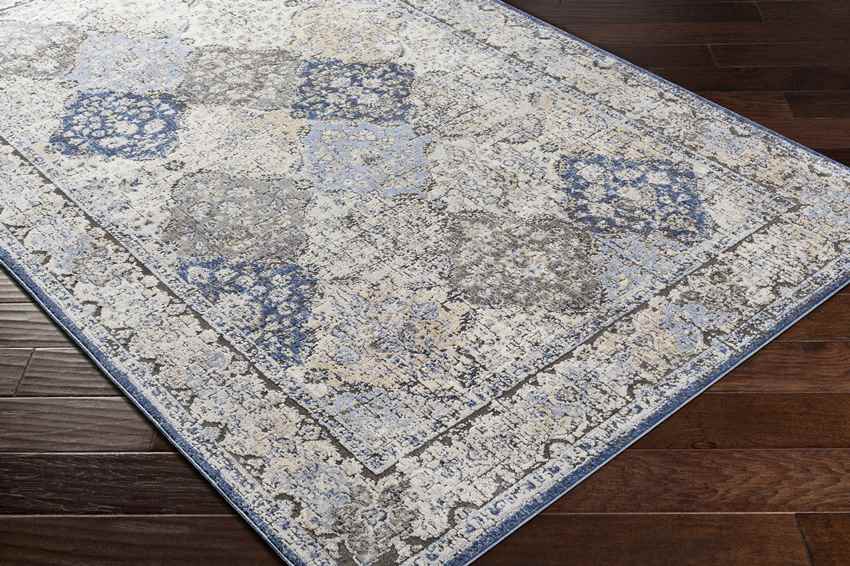 Loenen Traditional Light Gray Area Rug