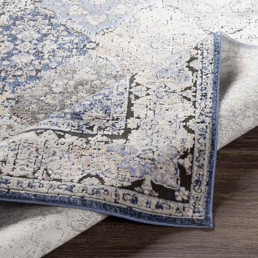 Loenen Traditional Light Gray Area Rug