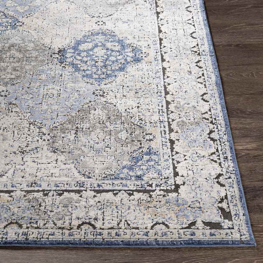 Loenen Traditional Light Gray Area Rug