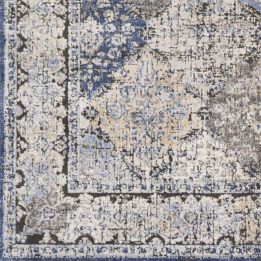 Loenen Traditional Light Gray Area Rug