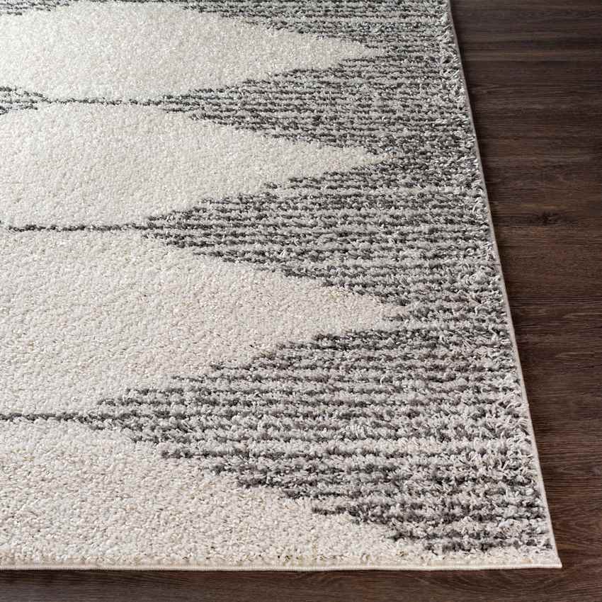Haarlo Global Medium Gray Area Rug