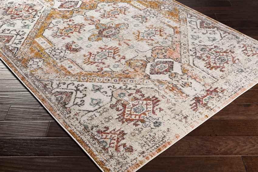 Heemskerk Traditional Burnt Orange Area Rug